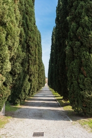 Cimitero di San Michele