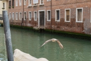 DSCF9422