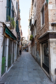 DSCF8973