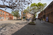 Calle Bressagio