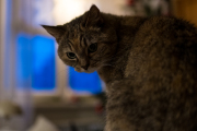 XT5F2617