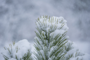 XT5F2624