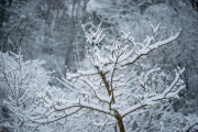 XT5F2626