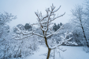 XT5F2628