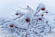 XT5F2630