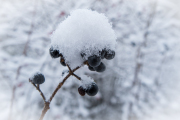 XT5F2635