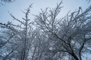 XT5F2640