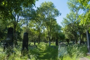DSCX7167