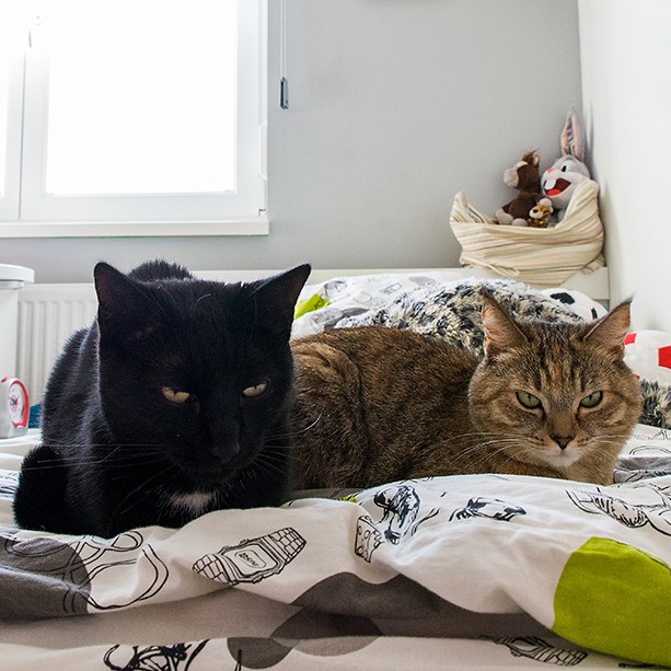 Eve & Sid