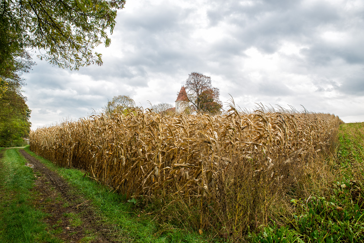 Herbst