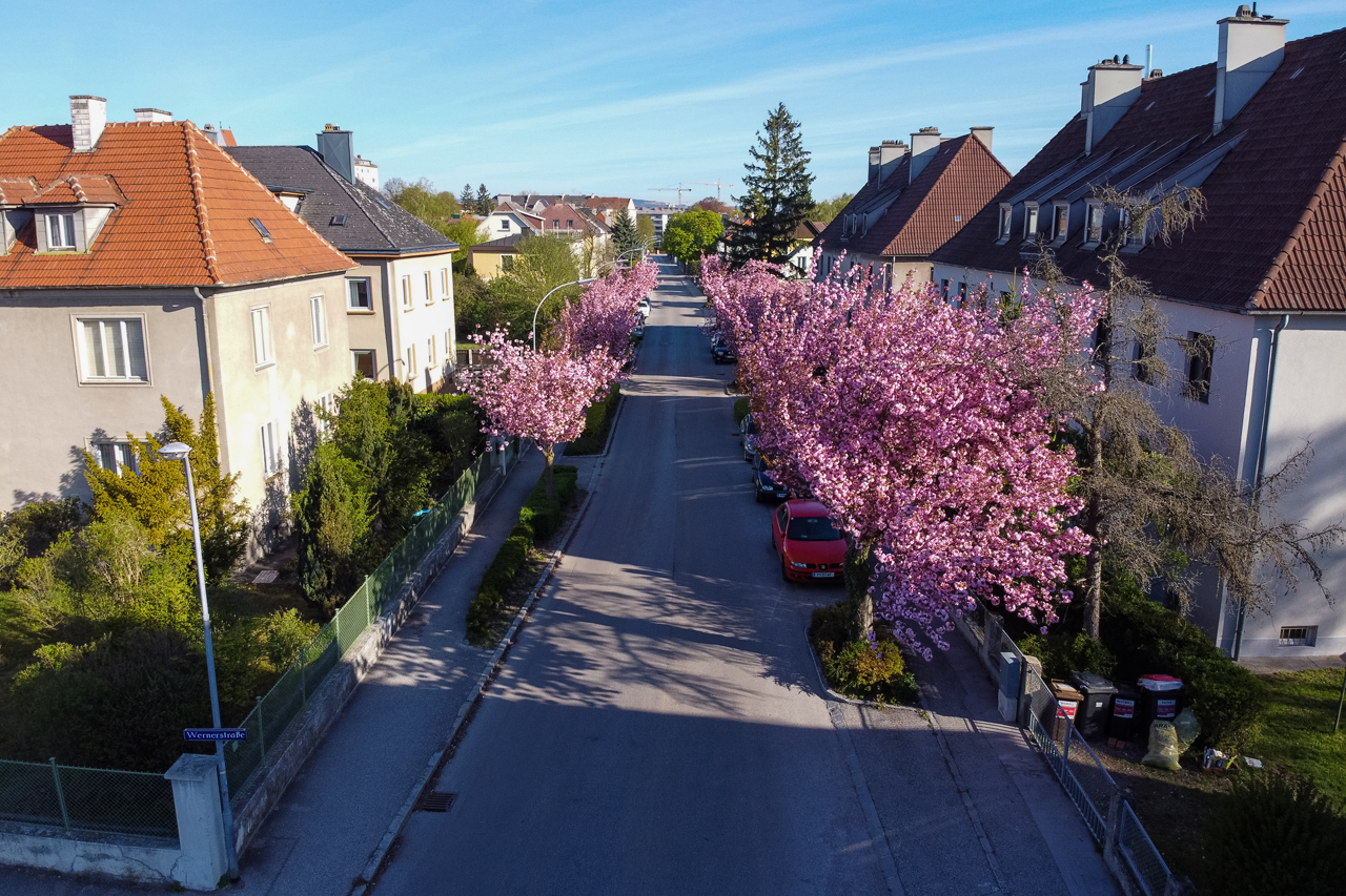 Spratzener Kirchenweg