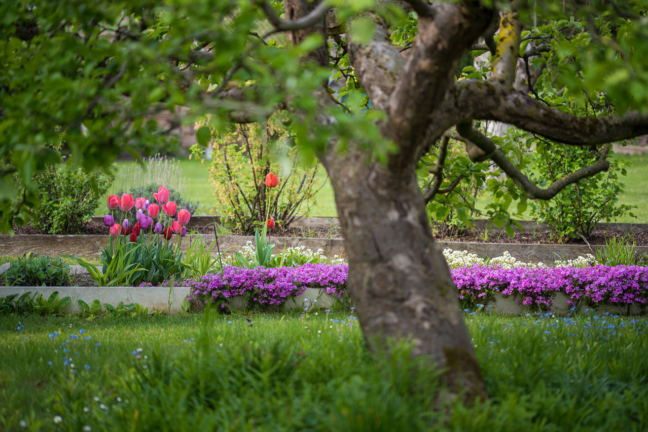 Im Schrebergarten