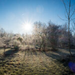 Im Sonnenpark