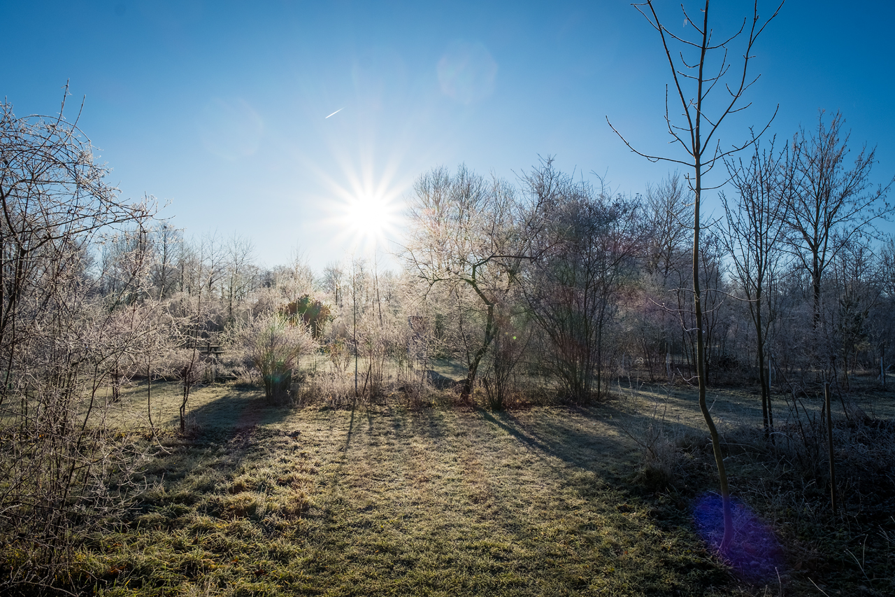 Im Sonnenpark