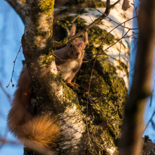 Pic of the Week 2026