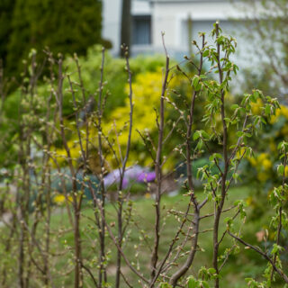 Pic of the Week 2026